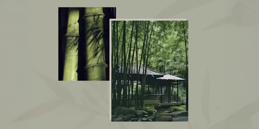 Bamboo: The Timeless Chinese Pattern Icon